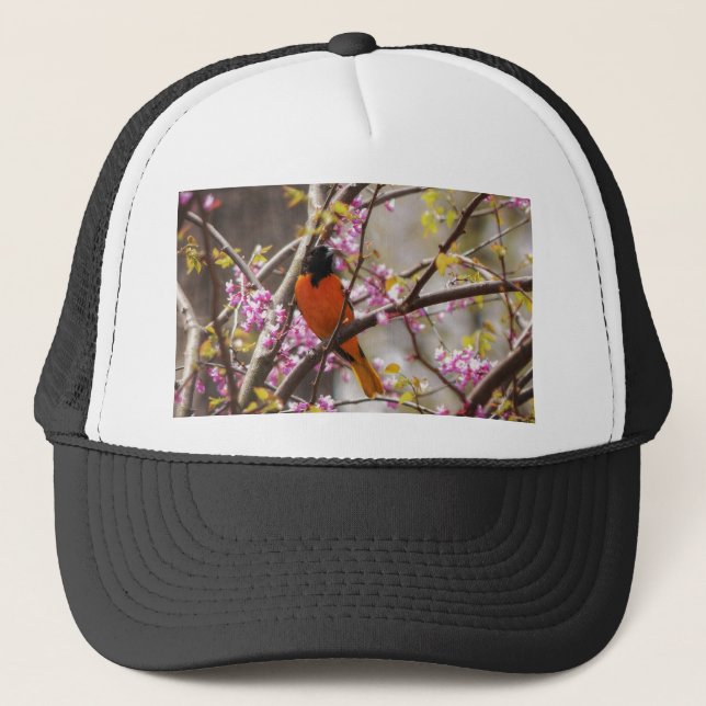 Casquette Baltimore Oriole (Devant)