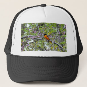 Casquette Baltimore Oriole