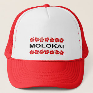 Casquette Bandes de fleurs Molokai Aloha Couleur claire