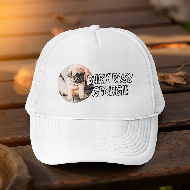 Casquette Barre Boss Animaux de compagnie Photo Moderne Simp (Créateur téléchargé)