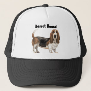 Casquette Basset Hound