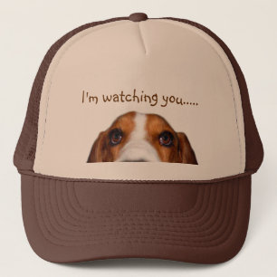Casquette Basset Hound jetant un coup d'oeil dedans