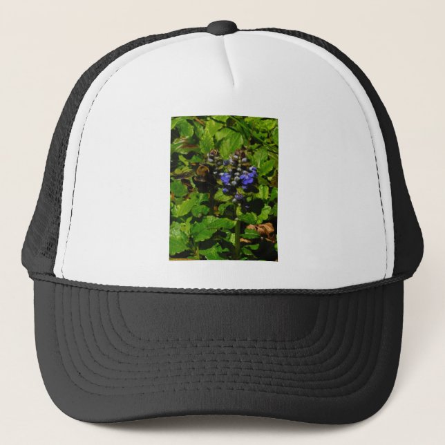 Casquette Baume d'abeille pourpre et bourdon (Devant)