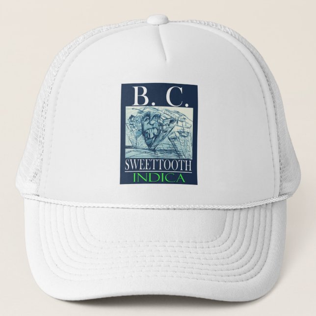 CASQUETTE BC SWEETTOOTH INDICA (Devant)