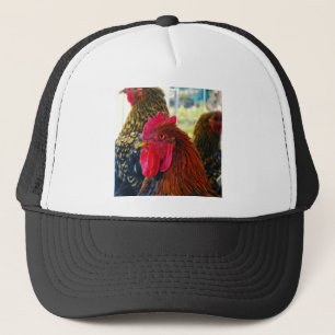 Casquette Beau Rooster