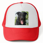 Beauceron.png noir et tan