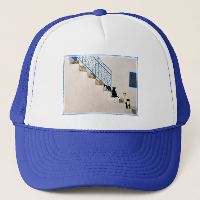 Casquette Beaucoup de chats sur un escalier blanc dans un vi (Devant)