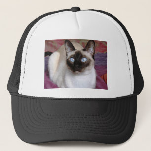 CASQUETTE BEAUTÉ SIAMOISE
