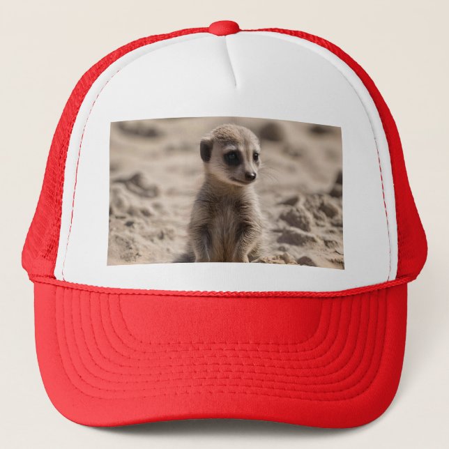 Casquette Bébé Meerkat Jouant Dans Le Sable, (Devant)