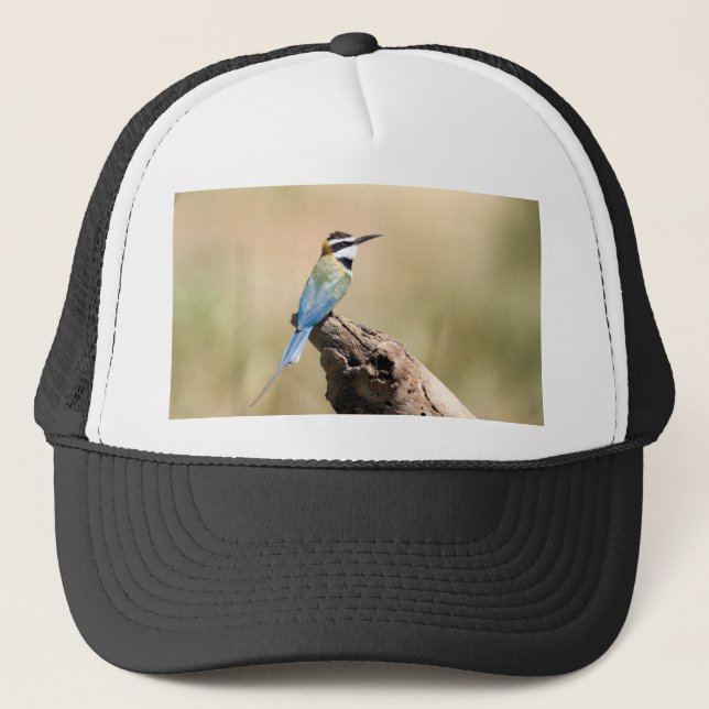 Casquette Bee-eater (Devant)