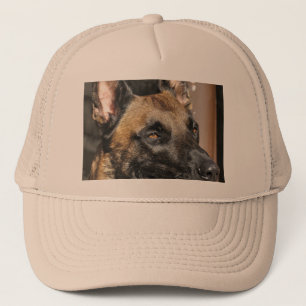 Casquette Belge malinois.png