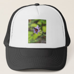 Casquette Belle Moth