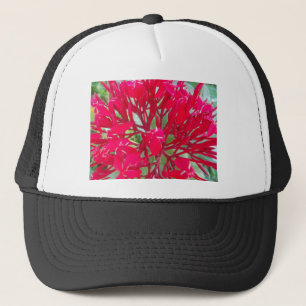 Casquette Belles fleurs rouges superbes