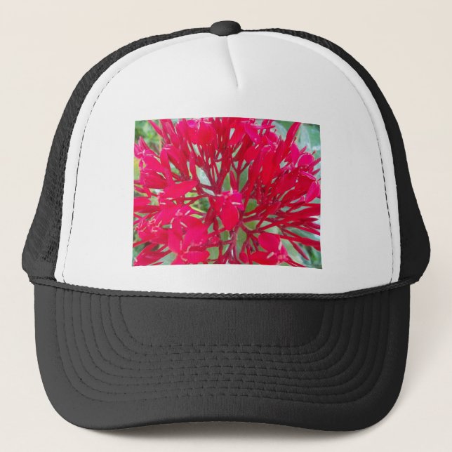 Casquette Belles fleurs rouges superbes (Devant)
