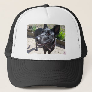 Casquette Berger allemand noir de laque