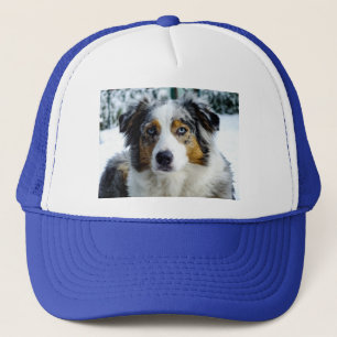 Casquette Berger américain miniature bleu merle