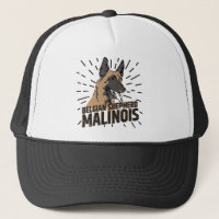 Berger belge - Malinois