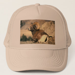 Casquette Bighorn Ram