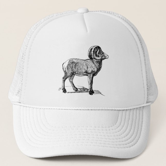 Casquette Bighorn Sheep (Devant)