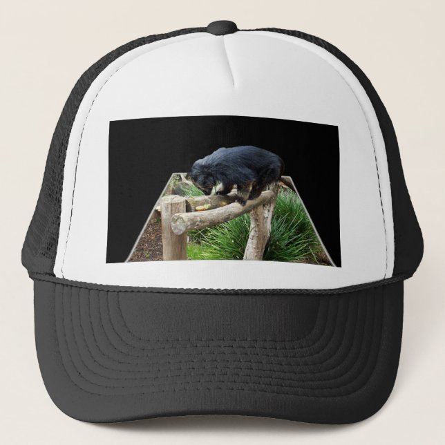 Casquette Binturong debout sur une rambarde en bois, (Devant)