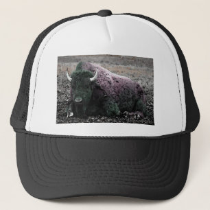 Casquette Bison