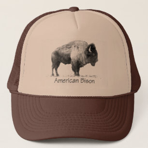 Casquette Bison américain