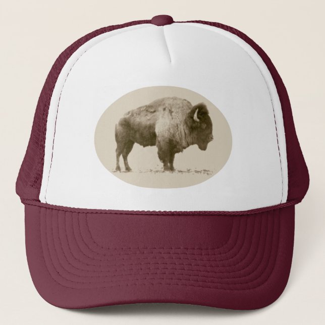Casquette Bison des plaines (Devant)