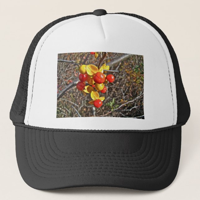 Casquette Bitsweet Vine Berries Produits (Devant)