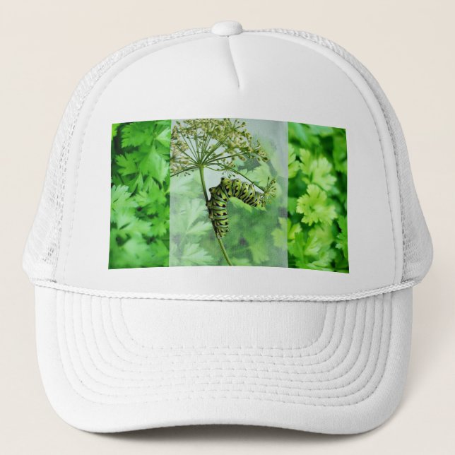 Casquette Black Swallowot Caterpillar Manger Parsley (Devant)