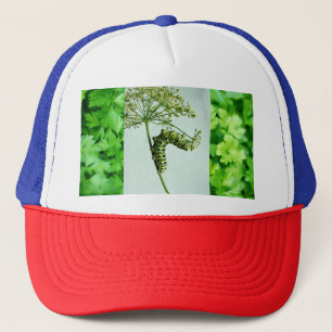 Casquette Black Swallowtail Manger Parsley
