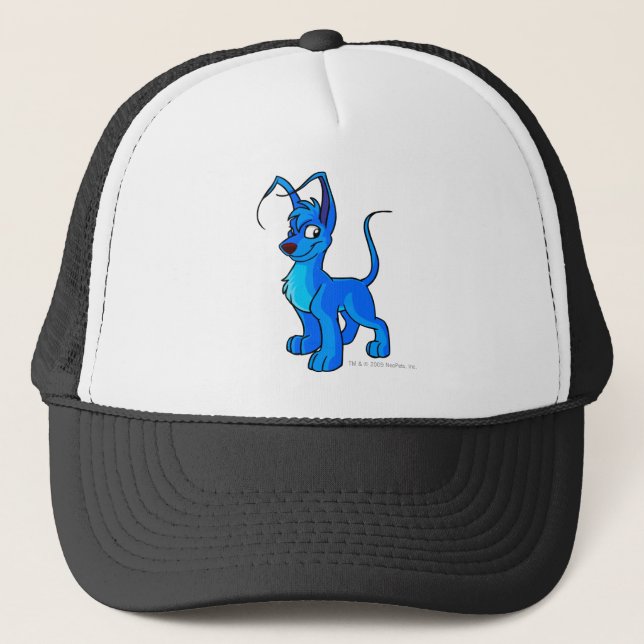 Casquette Bleu de Gelert (Devant)