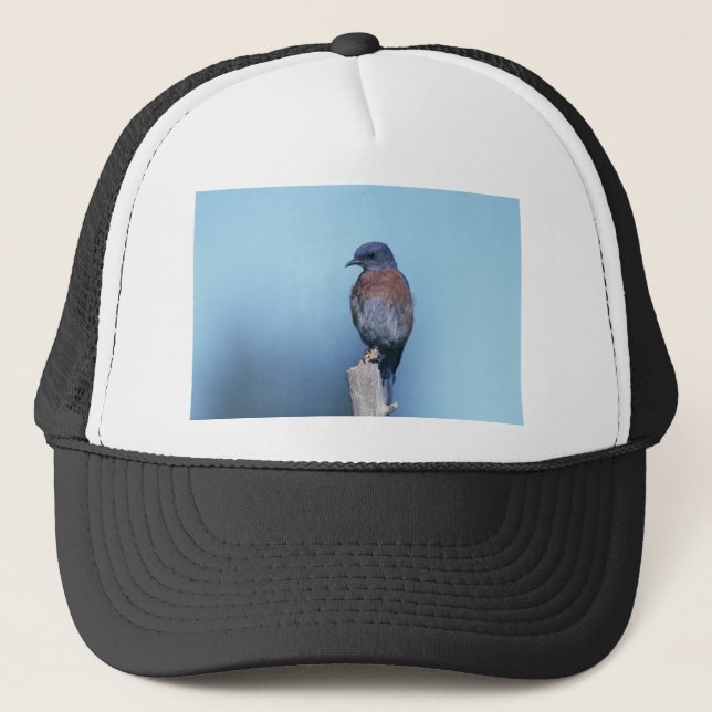 Casquette Bleu de l'Ouest (Devant)
