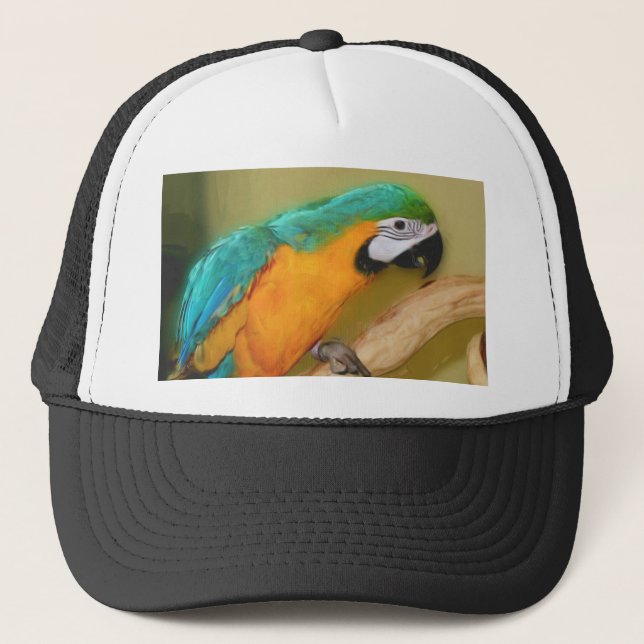 Casquette bleu de peinture de perroquet d'ara d'or (Devant)