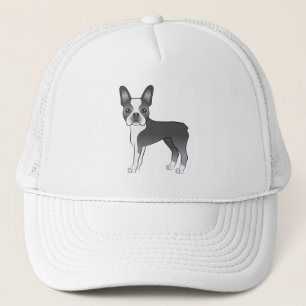 Casquette Bleu Et Blanc Boston Terrier Dessin Dessin De Chie