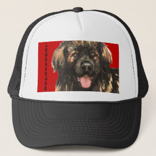Casquette Bloc de couleur de Leonberger