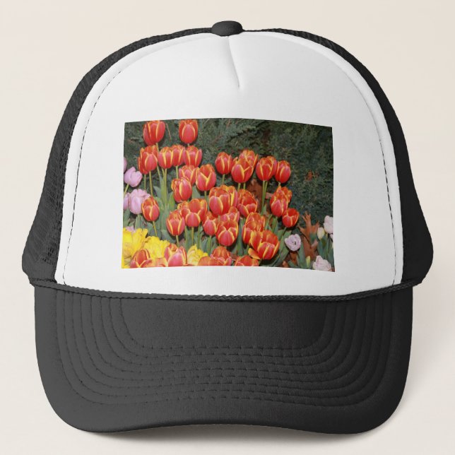 Casquette Bloomin' Tulips ! (Devant)