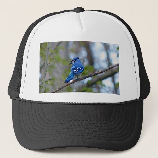 Casquette Blue Jay (Devant)