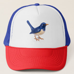 Casquette Bluebird