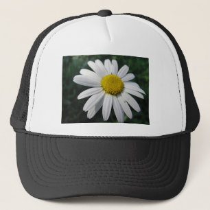 Casquette Blütenzentrum weisse Margerite