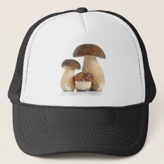 Casquette Boletus edulis