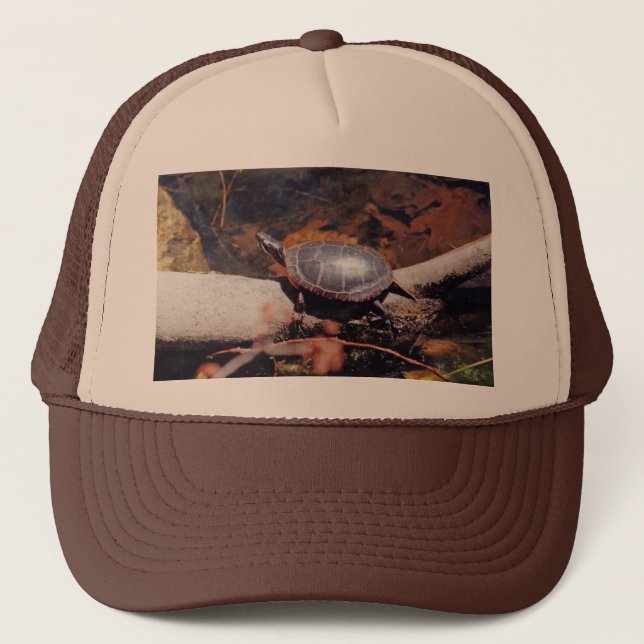 Casquette Bonne tortue (Devant)