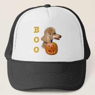 Casquette Boo de caniche recouvert d'abricot