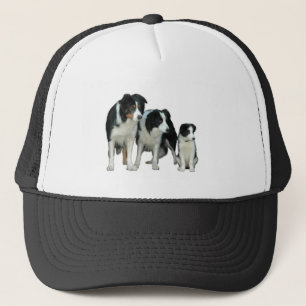 Casquette Border Collie Dogs
