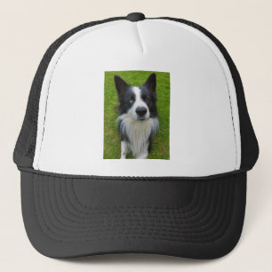 Casquette Bordure Collie