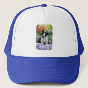 Casquette Boston Terrier Chien Cute Chiot Portrait Photo -