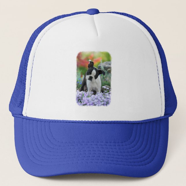 Casquette Boston Terrier Chien Cute Chiot Portrait Photo - (Devant)