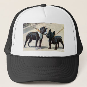 Casquette Boston Terrier et bouledogue français