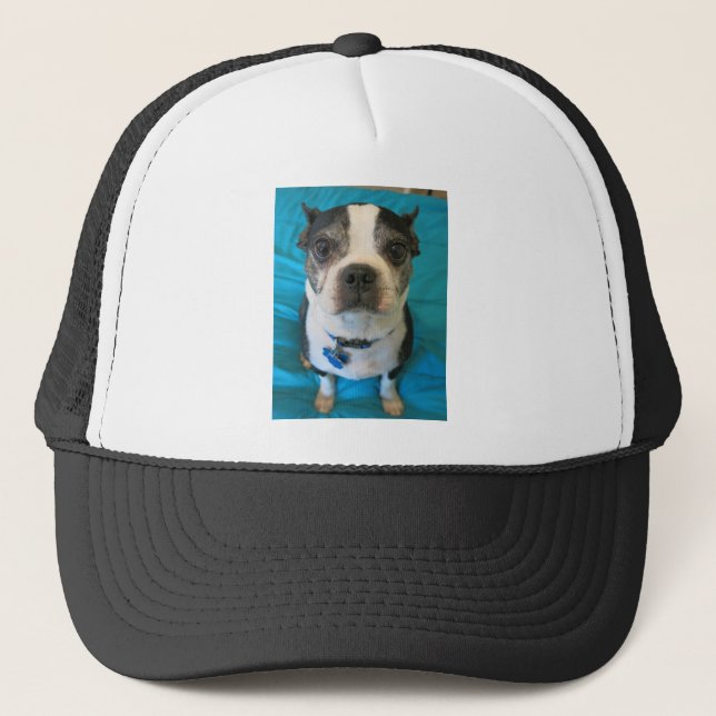 Casquette Boston Terrier se reposant sur un lit (Devant)