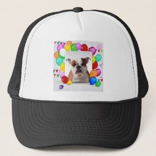 Casquette Bouledogue thème d'anniversaire avec ballons color