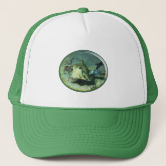 Casquette Boxfish - tellement mignon ! Conception photograph